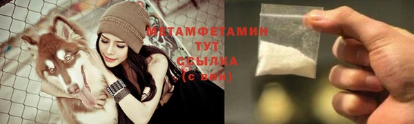сатива Горнозаводск
