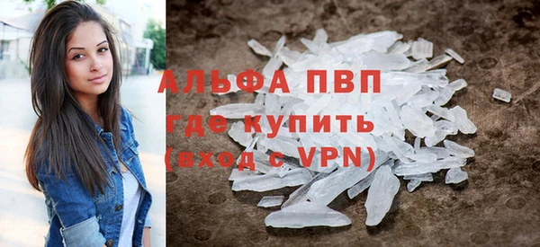 стафф Вязьма