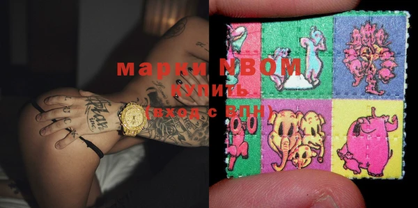 стафф Вязьма