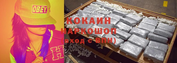 стафф Вязьма