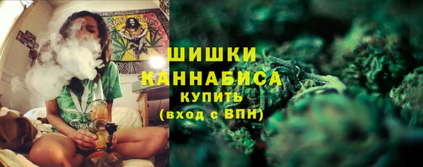 сатива Горнозаводск